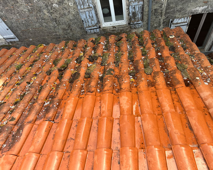 Nettoyage de toiture à Mont-de-Marsan